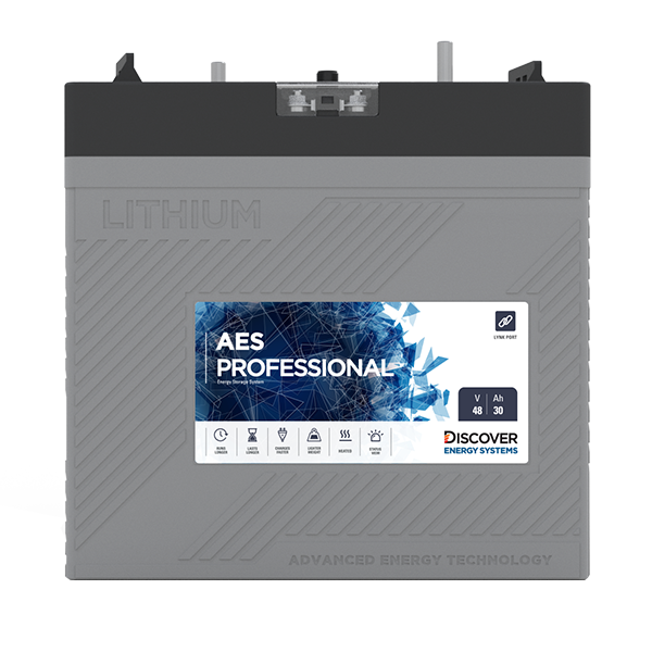 AES PROFESSIONAL LiFePO4